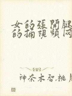 女的张开腿让男的捅视频网站