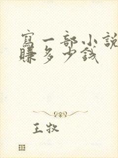 写一部小说可以赚多少钱