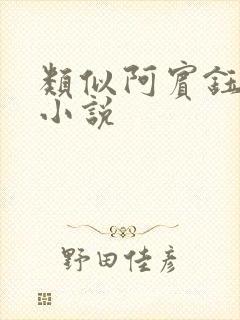 类似阿宾钰慧的小说