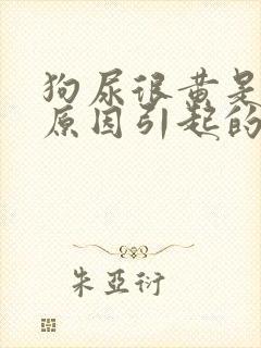 狗尿很黄是什么原因引起的