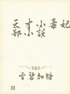 天才小毒妃第三部小说