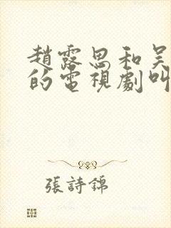 赵露思和吴刚演的电视剧叫什么