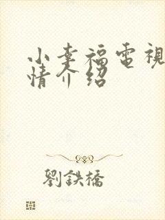 小幸福电视剧剧情介绍