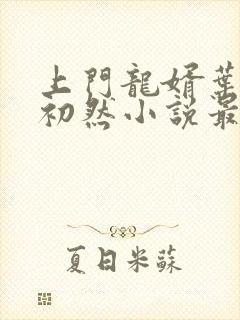 上门龙婿叶辰萧初然小说最新章节封面