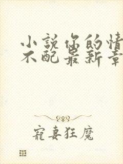 小说你的情深我不配最新章节封面