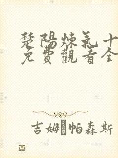 楚阳炼气十万年免费观看全集封面