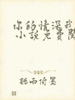 你的情深我不配 小说免费阅读