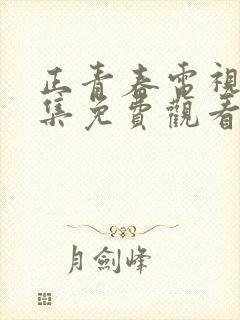 正青春电视剧全集免费观看完整版