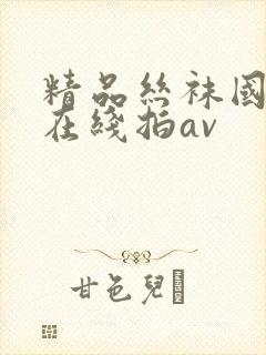 精品丝袜国产自在线拍av