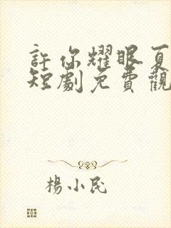 许你耀眼夏晴子短剧免费观看全集