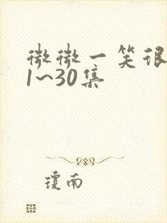 微微一笑很倾城1~30集封面