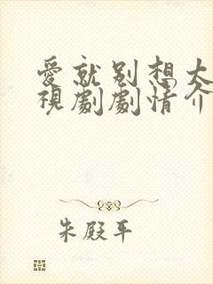 爱就别想太多电视剧剧情介绍