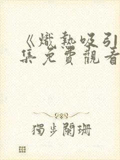 《炽热吸引》全集免费观看29集