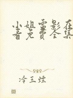 小姐电影在线观看免费全集高清版封面