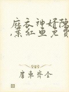 麻衣神婿陈黄皮,叶红鱼免费听书