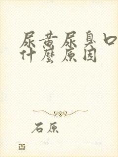 尿黄尿臭口苦是什么原因