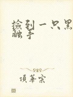 捡到一只黑心小触手