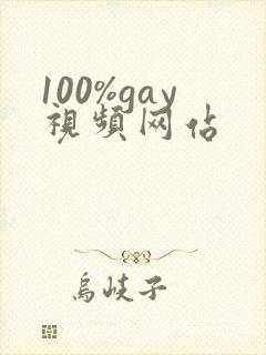 100%gay视频网站封面