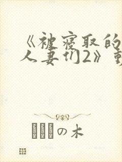 《被寝取的巨乳人妻们2》动漫在线观