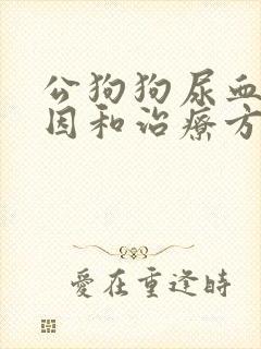 公狗狗尿血的原因和治疗方法封面