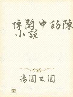 传闻中的陈芊芊 小说