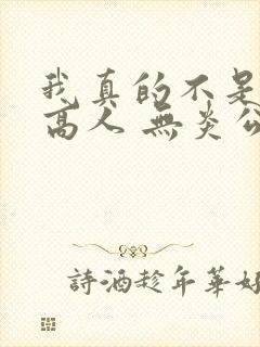 我真的不是绝世高人 无炎公子