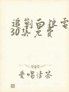 追剿白狼电视剧30集免费