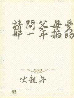 请问父母爱情是哪一年拍的