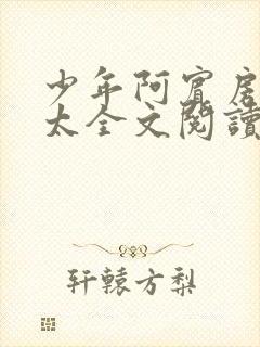 少年阿宾房东太太全文阅读