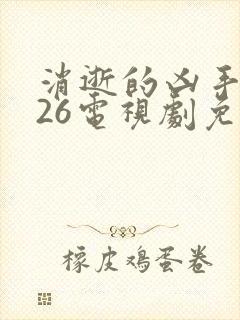 消逝的凶手2026电视剧免费观看全集