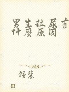 男生拉尿有血是什么原因