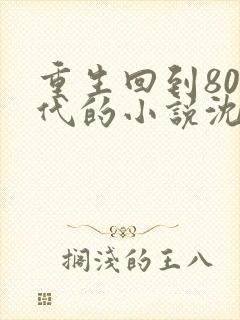 重生回到80年代的小说沈林