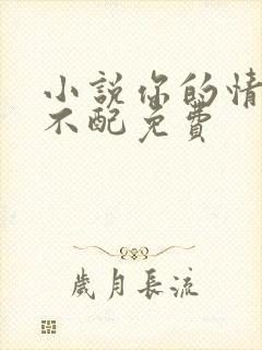 小说你的情深我不配免费