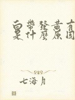 白带发黄有腥臭是什么原因