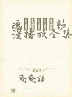 魂インサート动漫播放全集封面