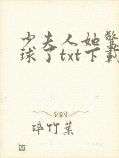 少夫人她惊艳全球了txt下载