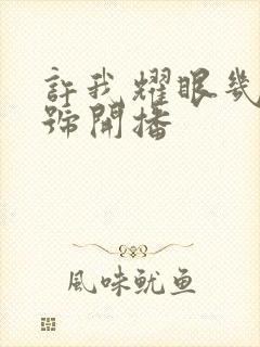 许我耀眼几月几号开播