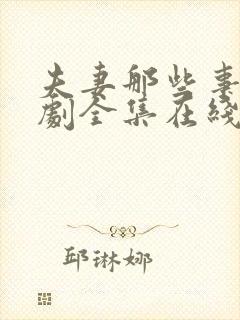 夫妻那些事电视剧全集在线观看