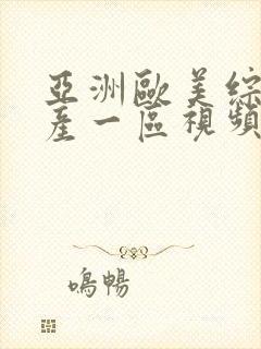 亚洲欧美综合国产一区视频