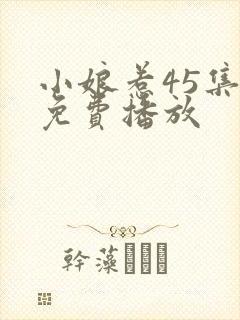 小娘惹45集全免费播放