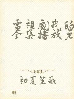 电视剧我的夏天全集播放免费观看