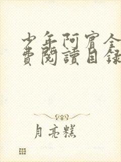 少年阿宾全文免费阅读目录封面