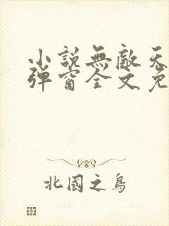 小说无敌天下无弹窗全文免费阅读