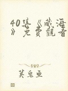 40集《藏海传》免费观看封面