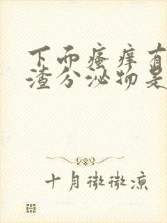 下面瘙痒有豆腐渣分泌物是怎么回事