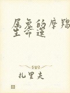 属兔的摩羯女一生命运