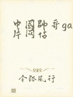 中国帅哥gay片网站