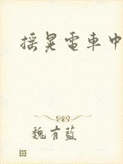 摇晃电车中痴汉