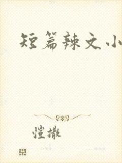 短篇辣文小说