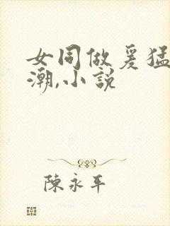 女同做爰猛烈高潮,小说封面